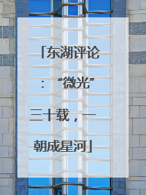 东湖评论：“微光”三十载，一朝成星河
