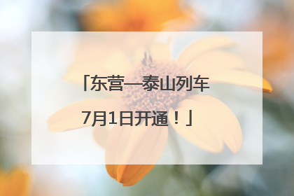 东营—泰山列车7月1日开通！