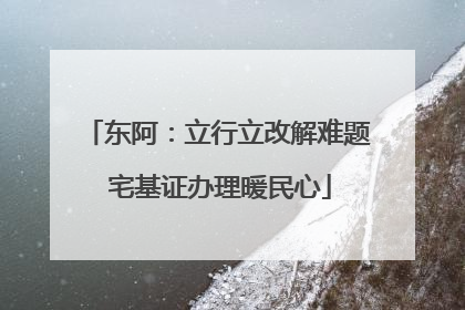 东阿：立行立改解难题 宅基证办理暖民心
