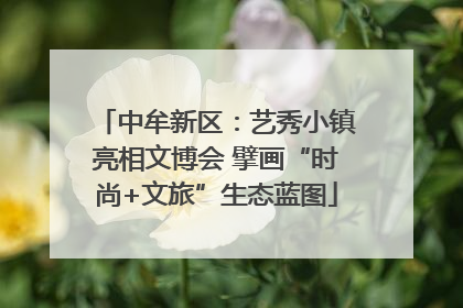 中牟新区：艺秀小镇亮相文博会 擘画“时尚+文旅”生态蓝图