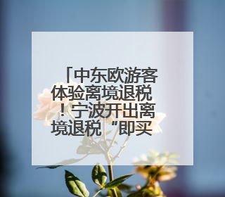 中东欧游客体验离境退税！宁波开出离境退税“即买即退”首单