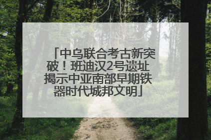 中乌联合考古新突破！班迪汉2号遗址揭示中亚南部早期铁器时代城邦文明