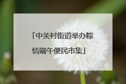 中关村街道举办粽情端午便民市集