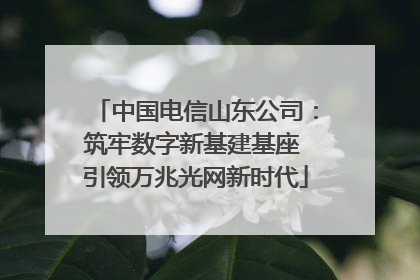 中国电信山东公司：筑牢数字新基建基座 引领万兆光网新时代