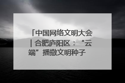中国网络文明大会｜合肥庐阳区：“云端”播撒文明种子 共建清朗网络空间