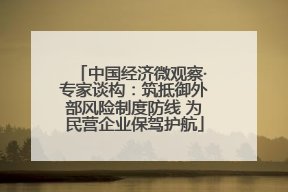 中国经济微观察·专家谈构：筑抵御外部风险制度防线 为民营企业保驾护航