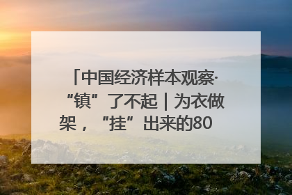 中国经济样本观察·“镇”了不起｜为衣做架，“挂”出来的80亿元“衣架产业”