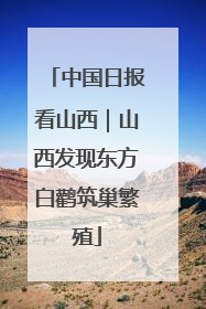中国日报看山西｜山西发现东方白鹳筑巢繁殖