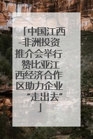 中国江西-非洲投资推介会举行 赞比亚江西经济合作区助力企业“走出去”