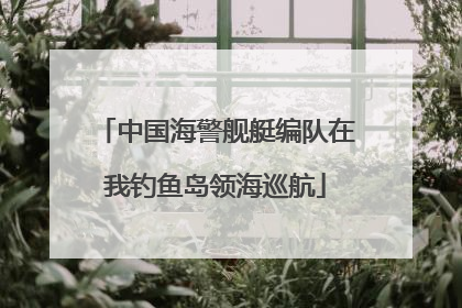 中国海警舰艇编队在我钓鱼岛领海巡航