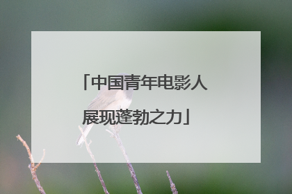 中国青年电影人展现蓬勃之力