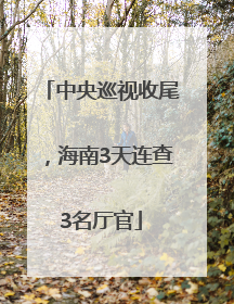 中央巡视收尾，海南3天连查3名厅官
