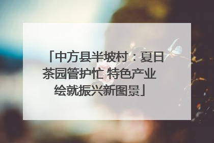 中方县半坡村：夏日茶园管护忙 特色产业绘就振兴新图景