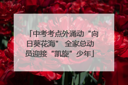 中考考点外涌动“向日葵花海” 全家总动员迎接“凯旋”少年