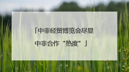 中非经贸博览会尽显中非合作“热度”
