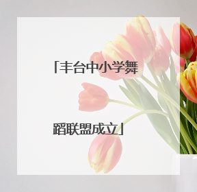 丰台中小学舞蹈联盟成立