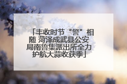 丰收时节“警”相随 菏泽成武县公安局南鲁集派出所全力护航大蒜收获季