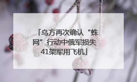 乌方再次确认“蛛网”行动中俄军损失41架军用飞机