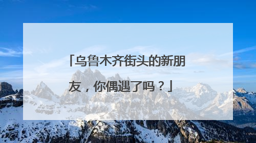 乌鲁木齐街头的新朋友，你偶遇了吗？