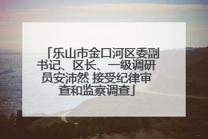 乐山市金口河区委副书记、区长、一级调研员安沛然 接受纪律审查和监察调查