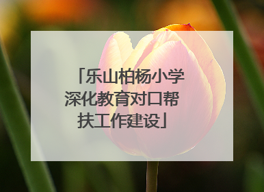 乐山柏杨小学深化教育对口帮扶工作建设