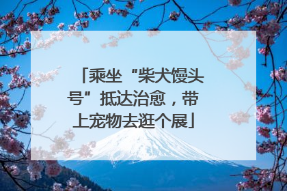 乘坐“柴犬馒头号”抵达治愈，带上宠物去逛个展