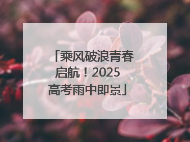 乘风破浪青春启航！2025高考雨中即景