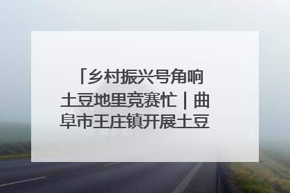 乡村振兴号角响 土豆地里竞赛忙｜曲阜市王庄镇开展土豆收获劳动竞赛