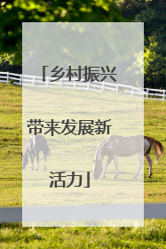 乡村振兴带来发展新活力