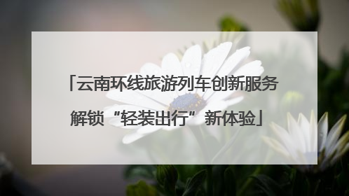 云南环线旅游列车创新服务 解锁“轻装出行”新体验