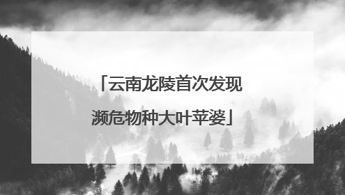 云南龙陵首次发现濒危物种大叶苹婆