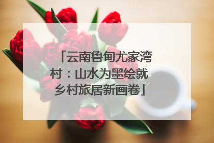 云南鲁甸尤家湾村：山水为墨绘就乡村旅居新画卷