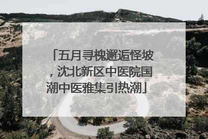 五月寻槐邂逅怪坡，沈北新区中医院国潮中医雅集引热潮