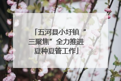 五河县小圩镇“三聚焦”全力推进夏种夏管工作