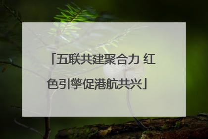 五联共建聚合力 红色引擎促港航共兴