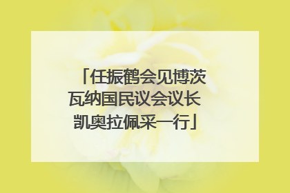任振鹤会见博茨瓦纳国民议会议长凯奥拉佩采一行