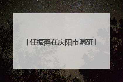 任振鹤在庆阳市调研