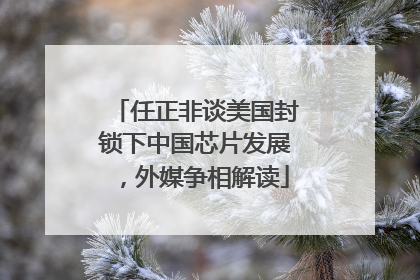 任正非谈美国封锁下中国芯片发展，外媒争相解读
