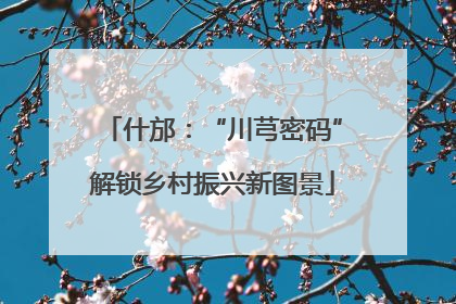 什邡：“川芎密码”解锁乡村振兴新图景
