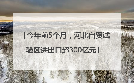 今年前5个月，河北自贸试验区进出口超300亿元