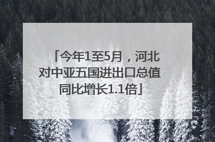 今年1至5月，河北对中亚五国进出口总值同比增长1.1倍