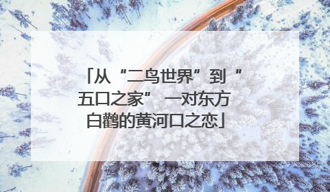 从“二鸟世界”到“五口之家” 一对东方白鹳的黄河口之恋