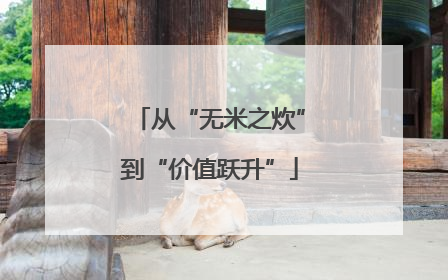 从“无米之炊”到“价值跃升”