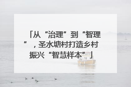 从“治理”到“智理”，圣水塘村打造乡村振兴“智慧样本”