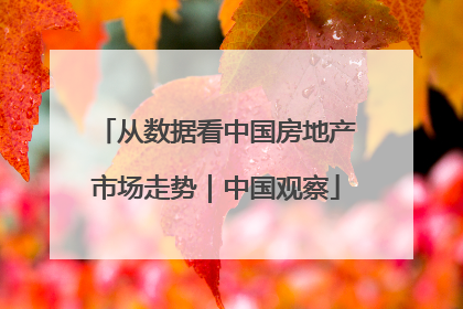 从数据看中国房地产市场走势｜中国观察