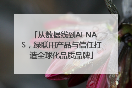 从数据线到AI NAS，绿联用产品与信任打造全球化品质品牌