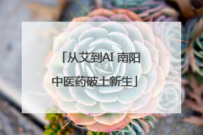 从艾到AI 南阳中医药破土新生