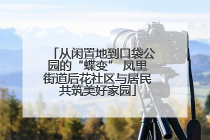 从闲置地到口袋公园的“蝶变” 凤里街道后花社区与居民共筑美好家园