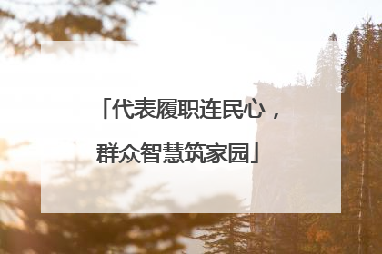 代表履职连民心，群众智慧筑家园