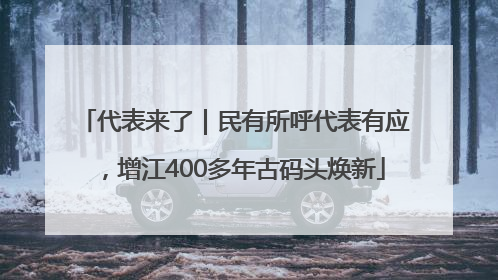 代表来了｜民有所呼代表有应，增江400多年古码头焕新